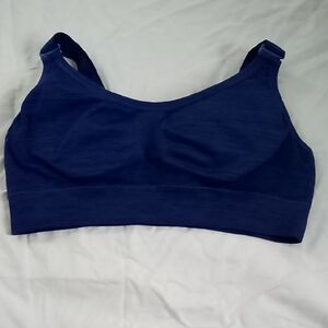 Source Unknown Deep Blue Sports Bra